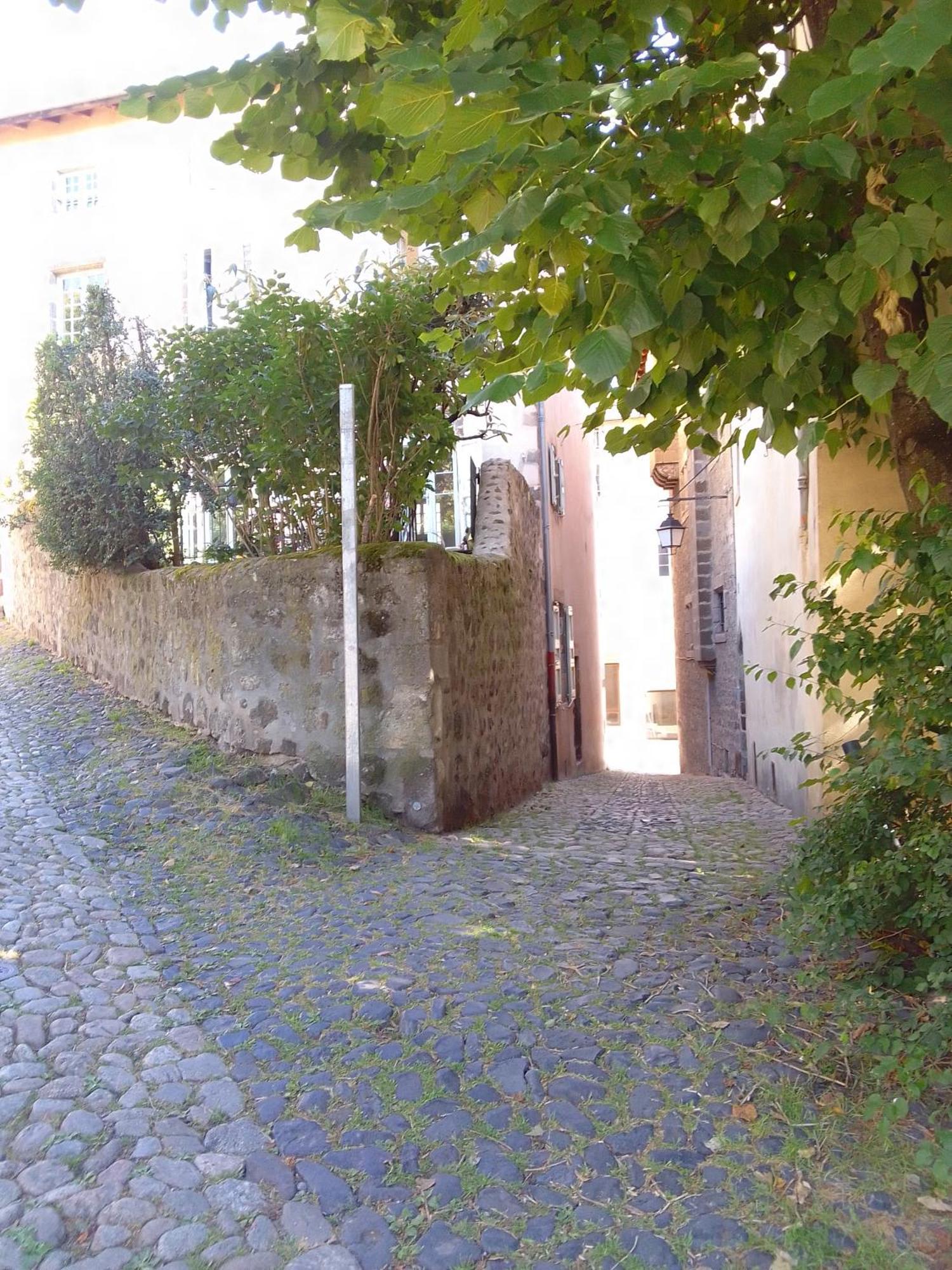 Apartamento Le Relax Max Le Puy-en-Velay Habitación foto